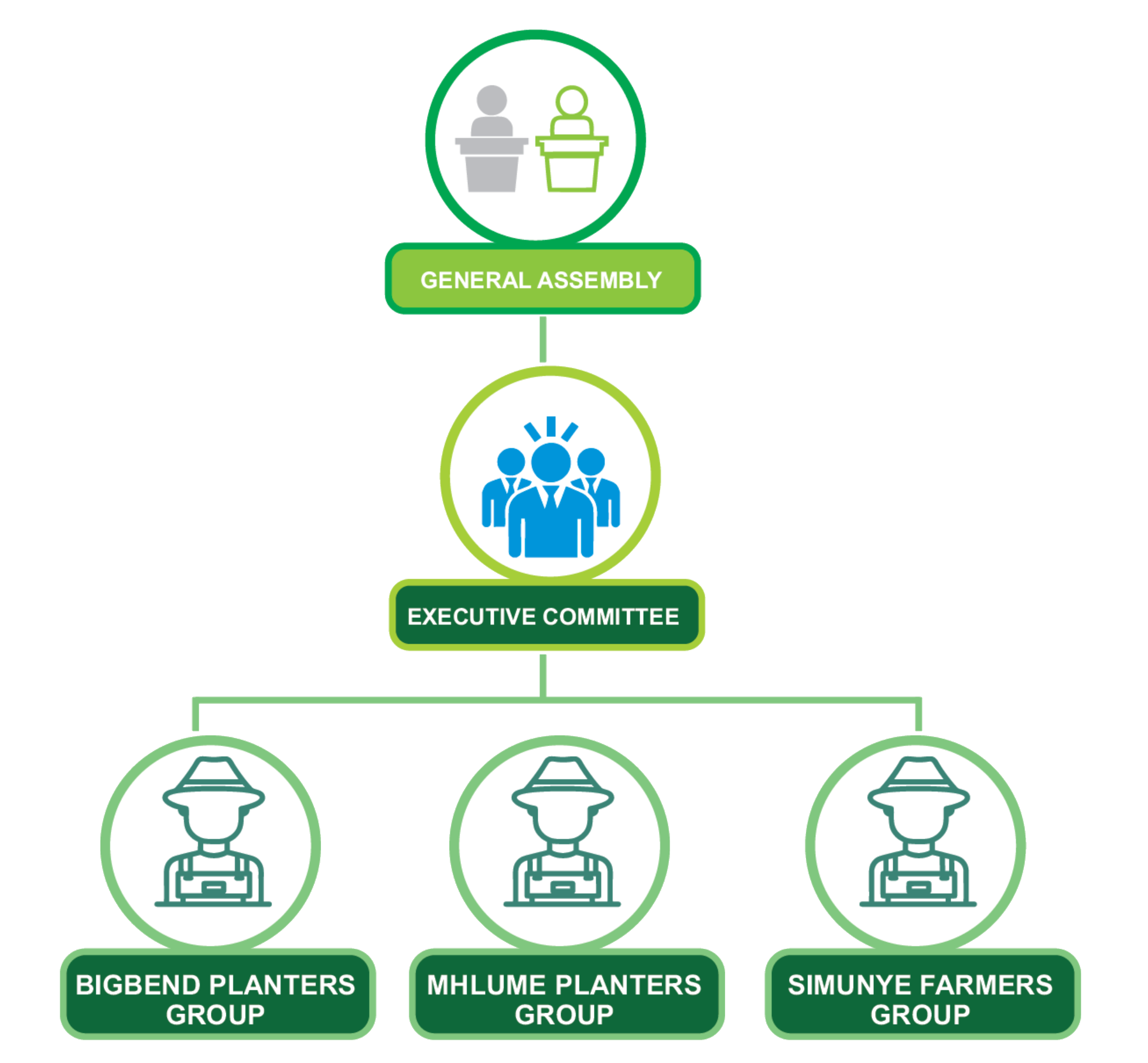 Eswatini Cane Growers Association (ECGA) Governance structure